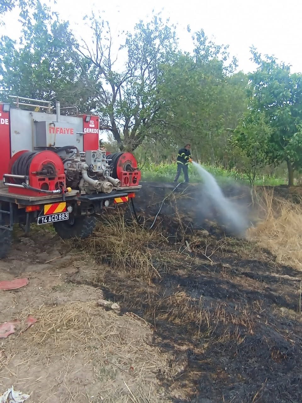 Bolu’da Elektrik Tellerine Çarpan Kuş Yangına Sebep Oldu