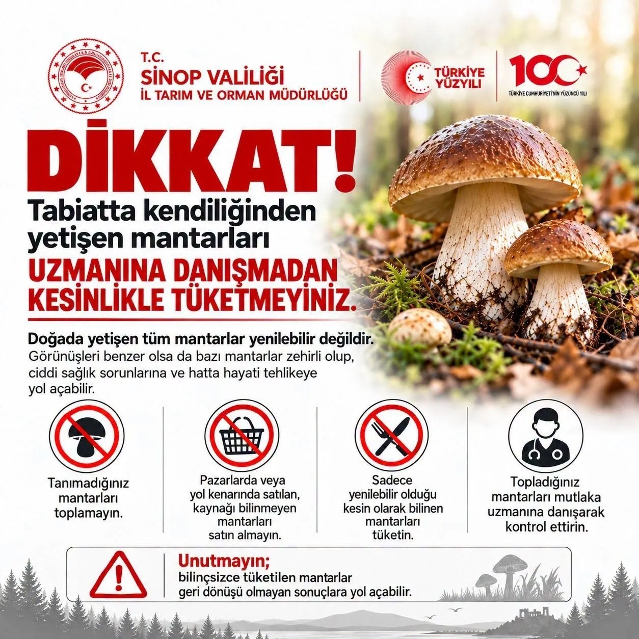 Sinop’ta Mantar Toplayıcılarına Uyarı