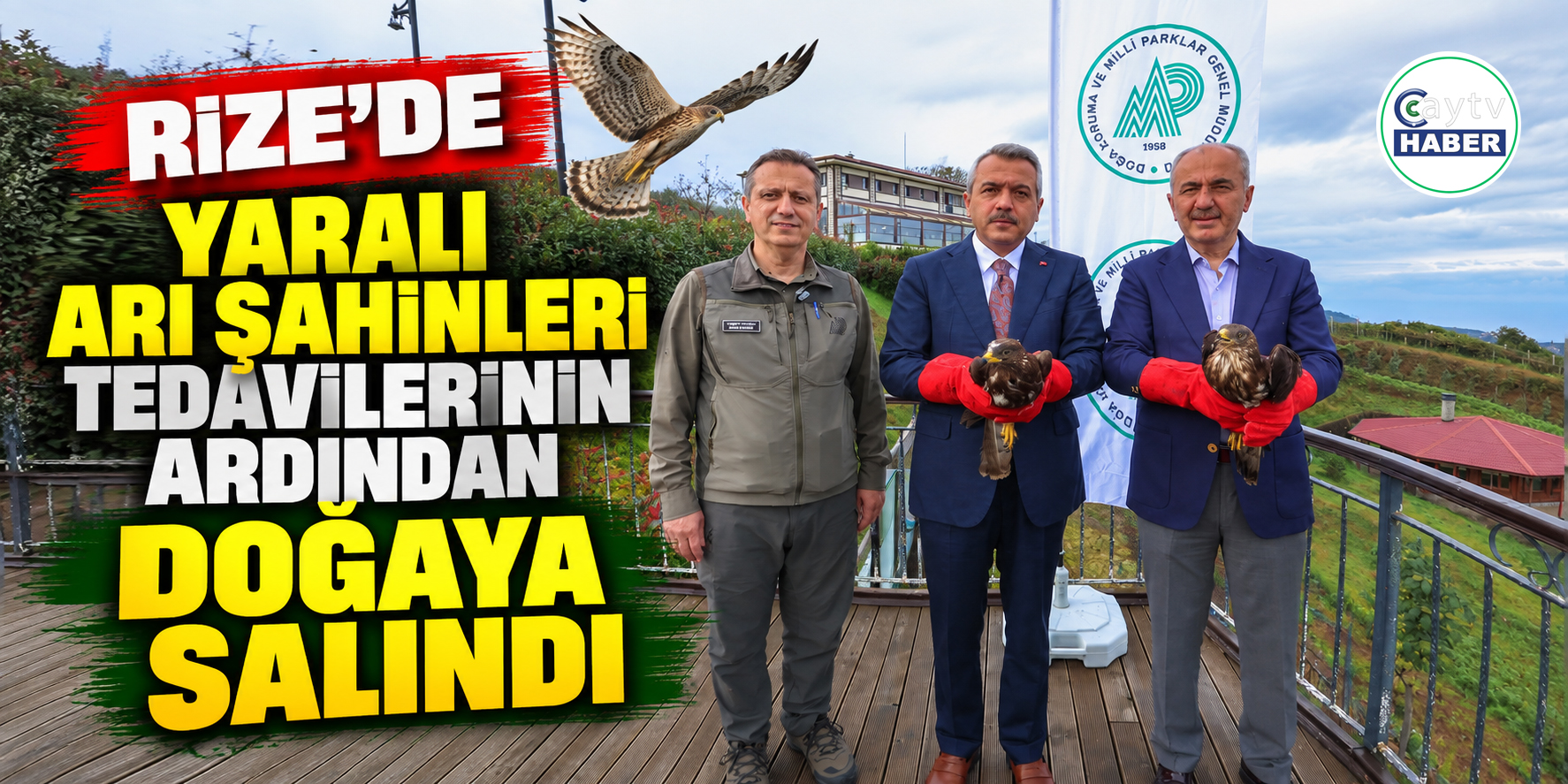 Rize’de tedavileri tamamlanan arı şahinleri yeniden doğaya bırakıldı