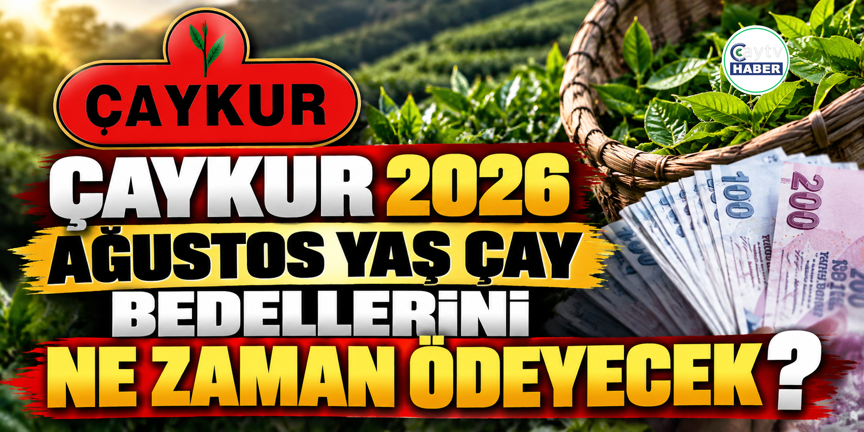 Çaykur 2026 Ağustos Yaş Çay Bedellerini Ne zaman Ödeyecek ?