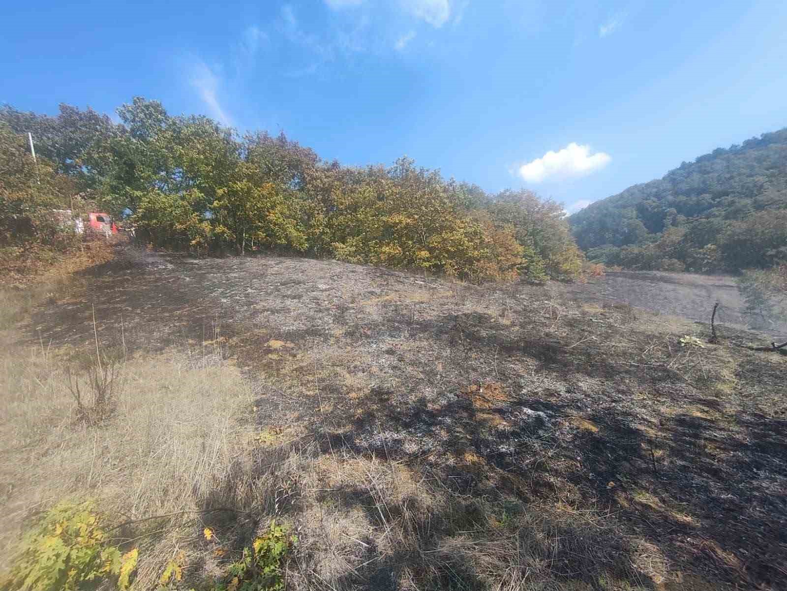 Bolu’da Ot Yangını Büyümeden Söndürüldü