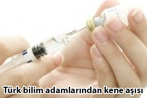 Türk bilim adamlarından kene aşısı