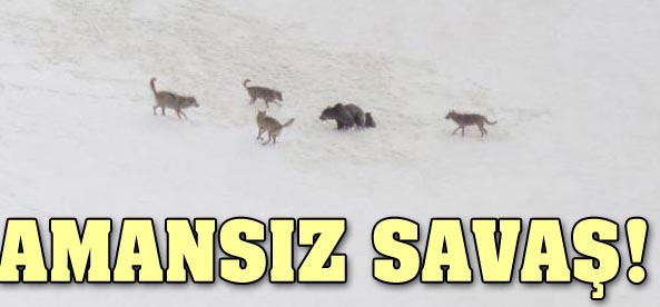 Rize sınırında şok görüntüler