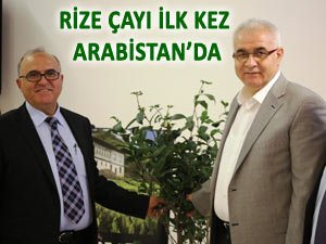 Rize Çayı Arabistan'da