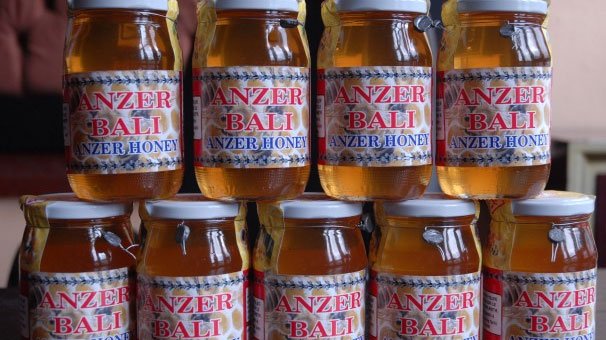 Feneri Yen Anzer Balı ve Koyunu Kazan