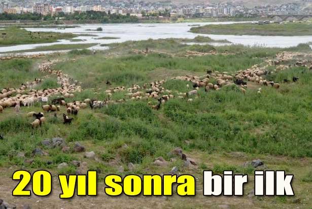 20 yıl sonra ilk kez yaşanıyor