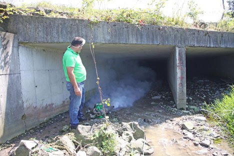 Rize'de Sinek ve Haşerelere Karşı İlaçlama
