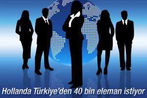 Hollanda Türkiye'den 40 bin beyin istiyor