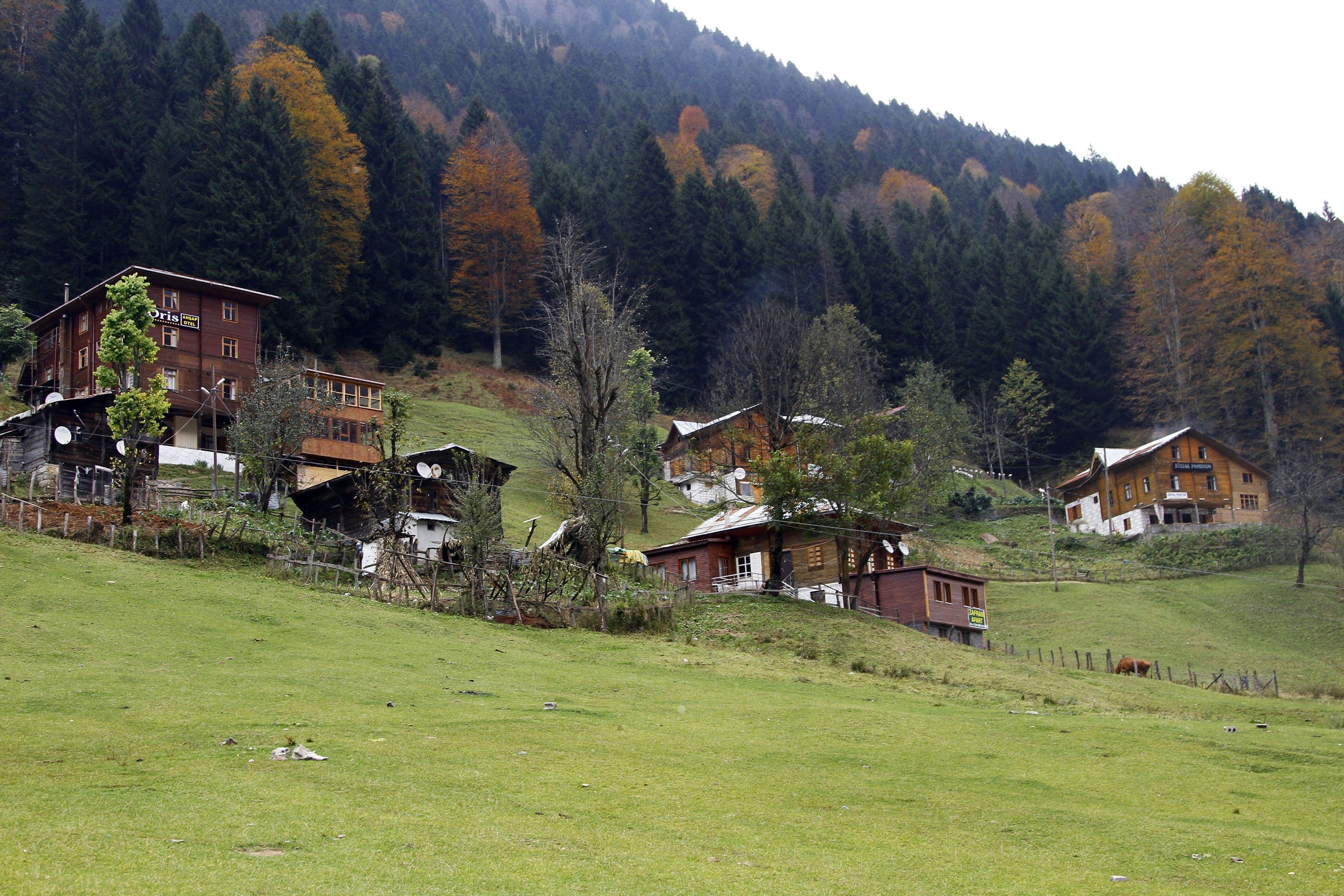 Ayder'den Sonhaber Fotoğrafları
