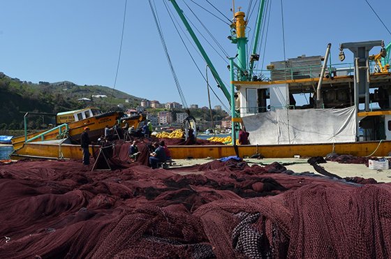 Balıkçılar için av sezonu resmen sona erdi