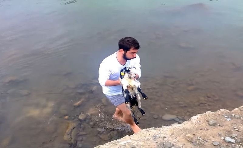 Karadenizli genç mahsur kalan kuzuyu böyle kurtardı