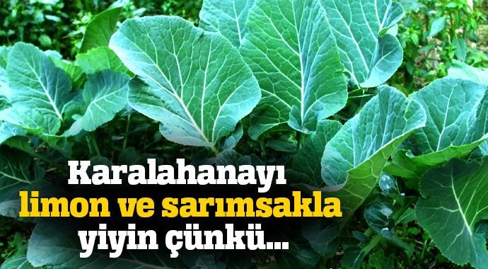 Mutlaka yemeniz gereken sebzeler!