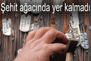 Şehit ağacında yer kalmadı