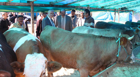 Rize'de Kurban Bayramı Tedbirleri
