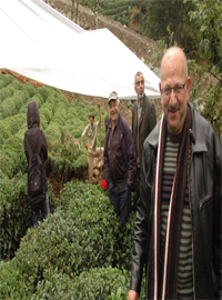Çay bahçesinde define arıyor