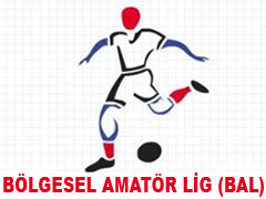 Bal Ligi Müsabakaları