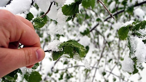 Meteorolojiden zirai don uyarısı
