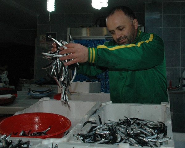 Balık fiyatları yüz güldürdü