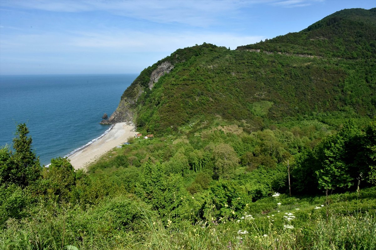 Karadeniz yeşille mavinin buluşma noktası