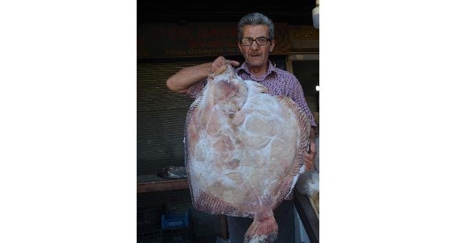 Karadeniz’de son 80 yılın en kısır kıyı balıkçılığı dönemi yaşanıyor