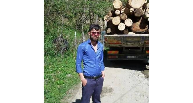 Taşıdığı tomrukların altında kalarak can verdi