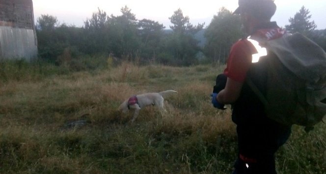 Kastamonu’da 10 günde iki Alzheimer hastası kayboldu