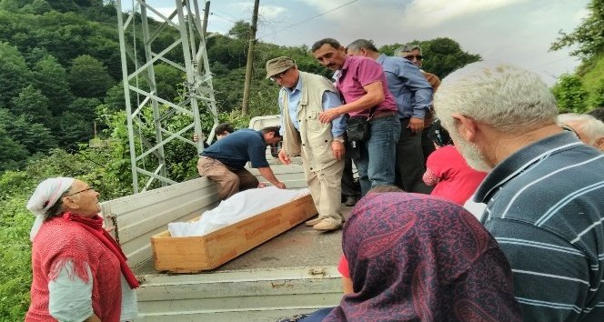 Arı sokması sonucu bir kişi öldü