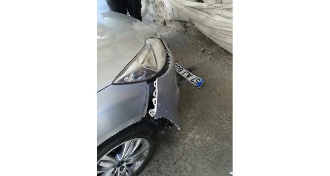 Köpekler Otomobili Parçaladı