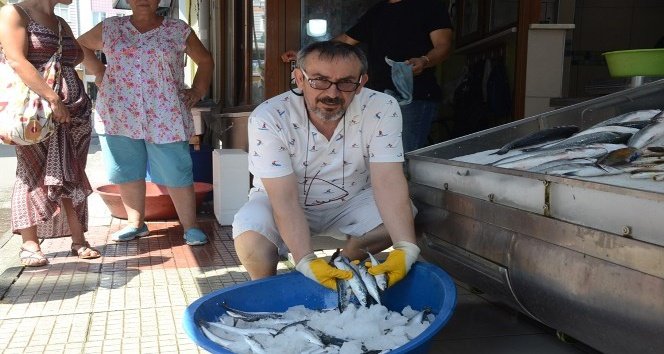 Karadeniz’de Uskumru Çoğaldı