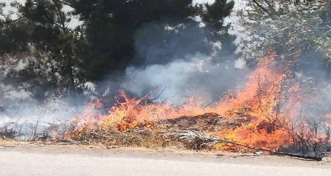 Yol kenarında tutuşan otlar korkuttu
