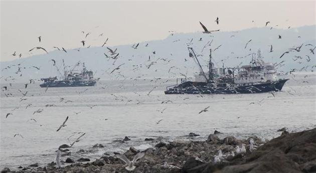 Karadenizli balıkçı, mezgit, barbunya ve istavritle avunuyor