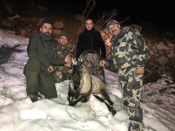 15 Bin Lira Ödeyen İş Adamı, Yaban Keçisi Avladı
