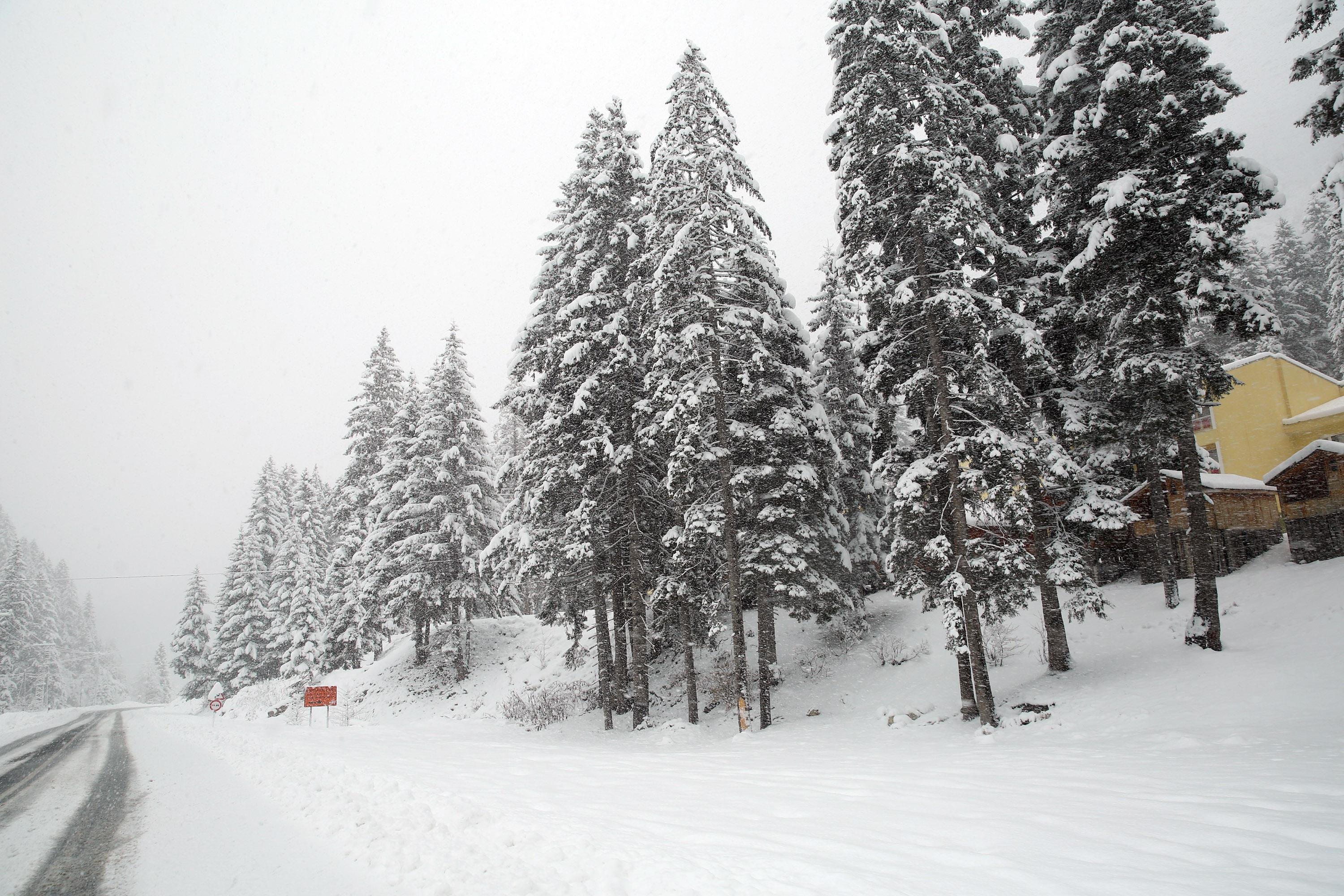 Rize ve Artvin'de 84 köy yolu ulaşıma kapalı