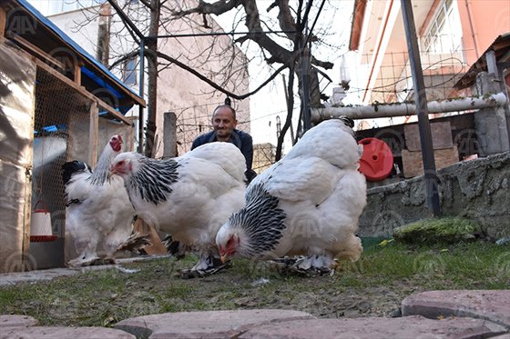 İşte "telsiz" evde "horoz sesi" dinliyor