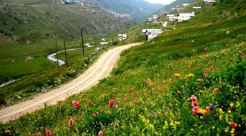 Yeşil Yol Projesinde Sona Gelindi