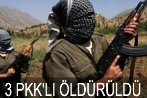 Eyleme Gelen 3 PKK'lı Öldürüldü