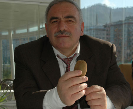 Rize’de 16 Bin Ton Kivi Üretildi