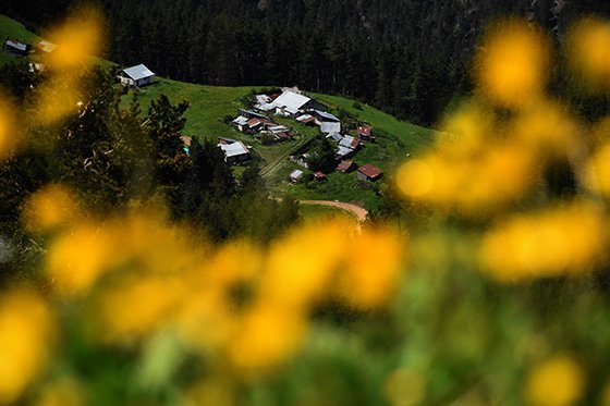 Gümüşhane yaylaları huzur vadediyor