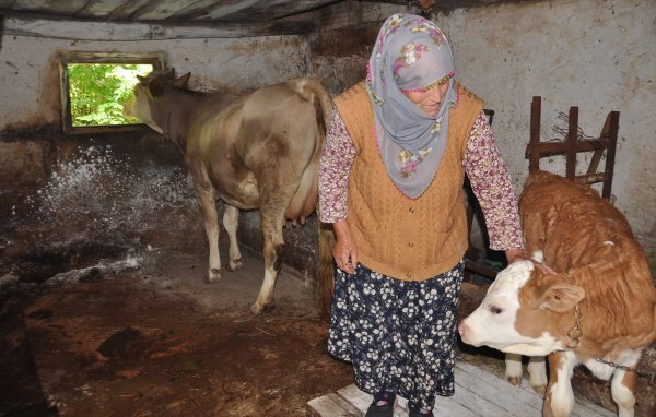 Artvin'deki "LSD" karantinası
