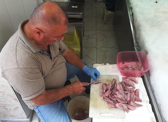 Karadeniz'de İskorpit Bereketi