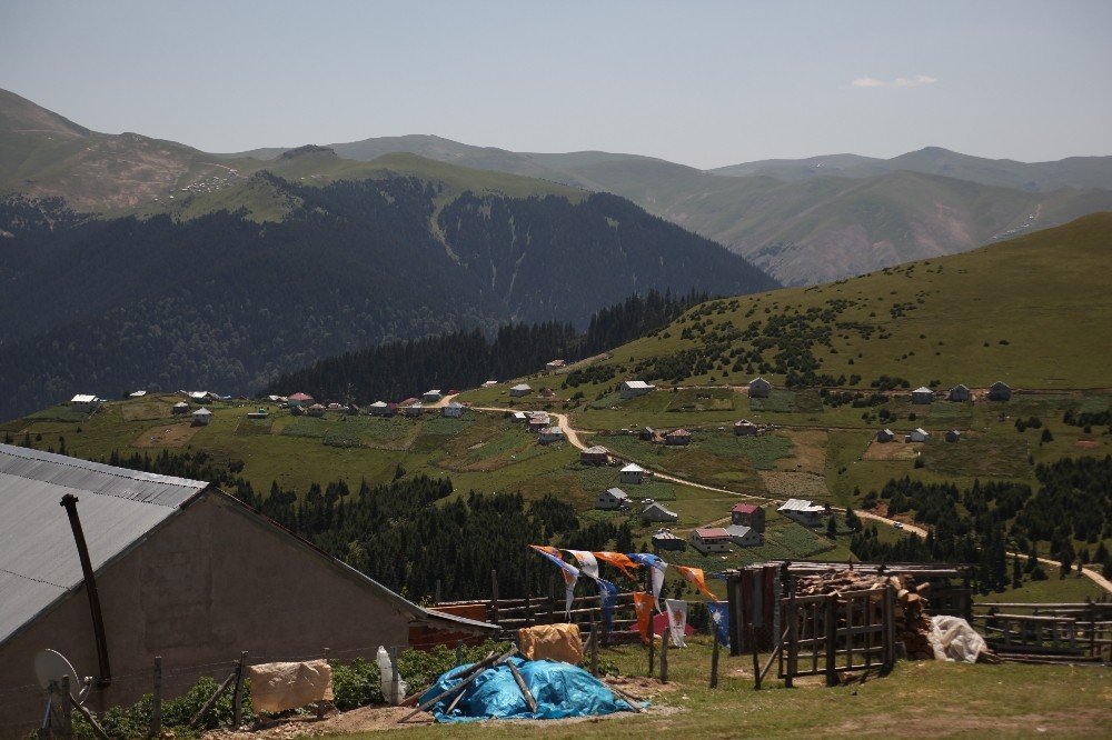 Giresun’da PKK’lılara operasyon