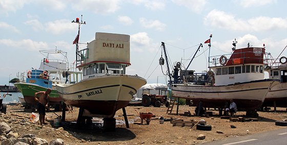 Balıkçılar yeni sezonda palamuttan umutlu