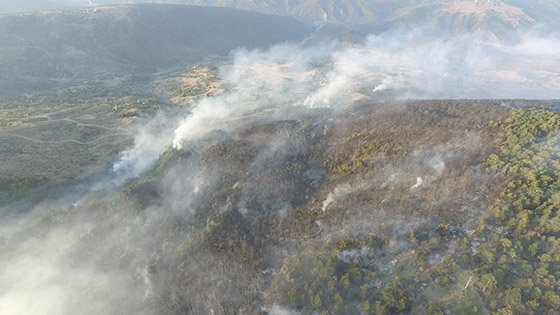 Kastamonu'daki orman yangını söndürüldü