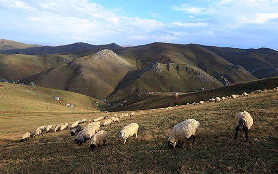 Karadeniz yaylalarından dönüş vakti