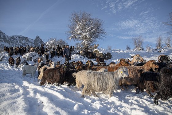 Doğu Karadeniz'de kar yağışı
