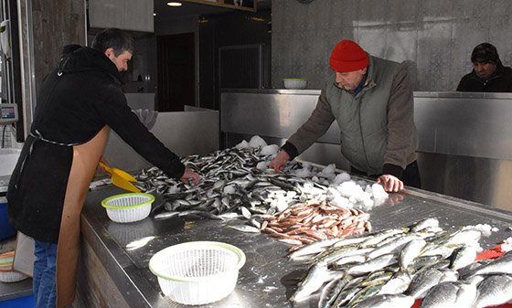 Karadeniz'deki olumsuz hava nedeniyle "hamsi" avlanamadı