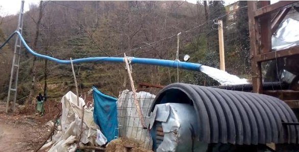 RİZEDE ALABALIK ÇİFTLİĞİNDE HES KURDU, ELEKTRİĞİ BEDAVAYA GETİRDİ