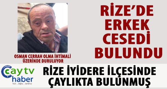 Rize'de çaylık alanda erkek cesedi bulundu