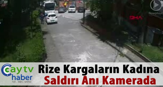 Rize Kargaların kadına saldırı anı kamerada