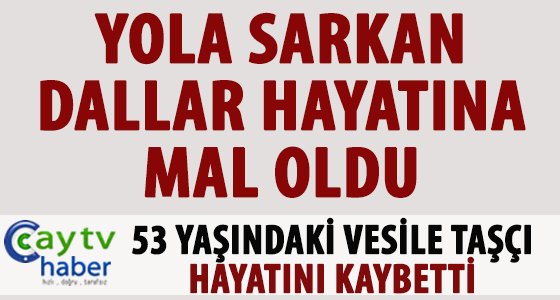 Rize'de ağaçtan düşen kadın öldü